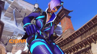 げっ歯類は、ゴミムシクソハッカーが、嫌い