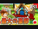 【実況】牧場物語３つの里の大切な友達を初見で遊ぶいも【#83】