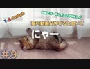 【ひとり1-2-SWITCH＃9】ぼっちでも2人プレイのゲームを遊びたいんだ！【右手対左手】
