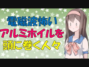 【心理学】存在しないものを感じてしまう陰謀論者の話【VOICEROID解説】