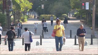 きょうも各地で２９℃超え「異例の暑さ」１１月の観測史上最高記録