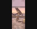 モンスターハンターNOW レイギエナ　★5