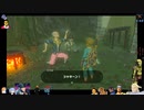 ⌘プレイアーカイブ⌘ ハイラルソード その207