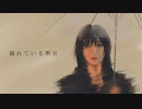 揺れている明日 feat.Mai【風花-kazahana-】