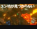 #41【ゼルダの伝説 ブレス オブ ザ ワイルド】ユン坊やどこにいるんだい！