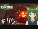 〇〇しないと出られない家に愛馬と閉じ込められた(´；ω；`)ティアキン実況#75【風夢ふろる】