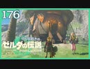 #176【ゼルダの伝説ティアーズオブザキングダム】ちょっと世界を翔けてくる【実況プレイ】