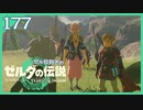 #177【ゼルダの伝説ティアーズオブザキングダム】ちょっと世界を翔けてくる【実況プレイ】