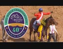 【海外競馬】2023年 第25回BCフィリー&メアターフ(GⅠ)【インスパイラル / L.デットーリ】