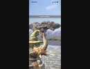 モンスターハンターNOW ボルボロス　★4