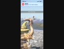 モンスターハンターNOW クルルヤック　★4