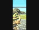 モンスターハンターNOW リオレイア　★5