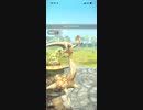 モンスターハンターNOW クルルヤック　★4