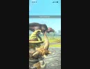 モンスターハンターNOW アンジャナフ　★4