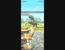モンスターハンターNOW プケプケ　★4