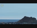 2023.11.06(40倍速)ﾆｺ生TSD