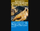 あなたはすでにmRNA遺伝子組み換え肉を食べているかもしれない
