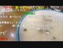 20231106　暗黒放送　カジノで敗北ぼた放送　②