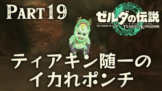 ティアキン随一のイカれポンチ【ゼルダの伝説 ティアーズオブザキングダム】Part19