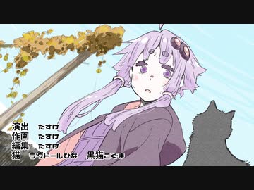 より高く分厚い壁となるための一歩（前後セット）