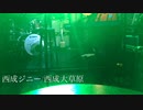西成ジニー/西成大草原 Nishinari Genius/Nishinari prairie