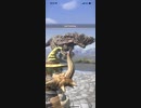モンスターハンターNOW ボルボロス　★5