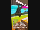 【 #フクロモモンガ 】赤ちゃんには飛び降りジャンプは？！ #おはモモンガ #モモンガ  #shorts #sugerglider #animal #pet #ペット #動物 #小動物 #ムササビ
