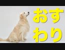 Smiling！/ GUMI【無色透名祭２参加作品）M2_1992】