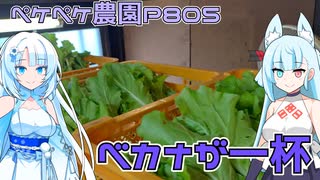 2023年11月6日　農作業日誌P805　野菜の収穫をしましたが、ベカナばかりが山の様に採れました