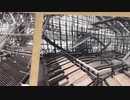 京都府文化財建造物 国宝妙法院庫裏 修理現場特別公開＠京都市 20231103-金- iPhoneSE2 楽天回線またはau回線