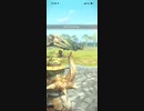 モンスターハンターNOW プケプケ　★4