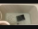 防水確認したらsurface水没した