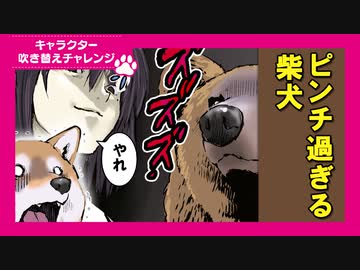 世界の終わりに柴犬と 第3話「【吹き替えチャレンジ】無謀な戦いに巻き込まれる柴犬」