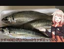 ONEちゃんがアジの刺身を作るだけ