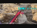【勇者トロ】抜根　これからのトロの配信についてプチ報告。2023年10月24日