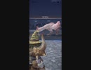 モンスターハンターNOW パオウルムー　★5