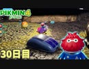 懐かしすぎるお宝見つけた！　「ピクミン4」　＃30