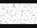 White Blood Cell
