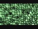 Chloroplast Cell