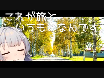 これが旅というものなんです。〔紅葉〕