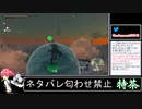 2023年07月12日ゼルダTotK【放送アーカイブ】