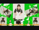Green Day - American Idiot　cover　神