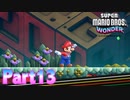 ワンダーな世界 フラワー王国を大冒険！【スーパーマリオブラザーズ ワンダーpart13】