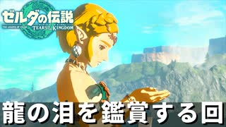 23「龍の泪」を鑑賞する ※ストーリー補完回｜演奏家が往く！『ゼルダの伝説　ティアーズ オブ ザ キングダム』