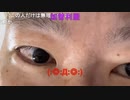 ニンポー（千代豊和）働かないと駄目か