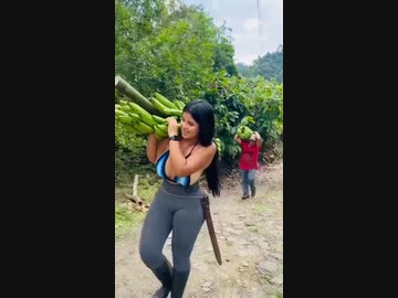 ホモと見るバナナ農家