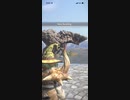 モンスターハンターNOW ボルボロス　★5