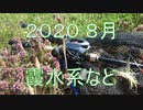 ある夏の思い出