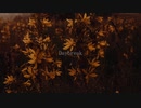 Daybreak/VY1