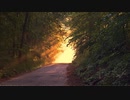 通り道 path 【フリーBGM】